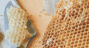 Selbermachen: DIY Bienenwachstuch