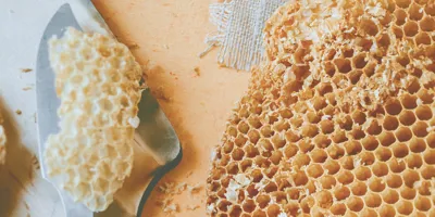 Selbermachen: DIY Bienenwachstuch