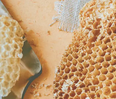 Selbermachen: DIY Bienenwachstuch