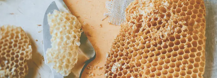 Selbermachen: DIY Bienenwachstuch